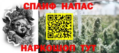 сатива Камышлов