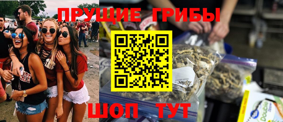 купить наркоту  Галлюциногенные грибы Psilocybine cubensis  Вход с VPN  Краснокаменск 